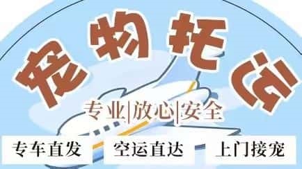 机场空运