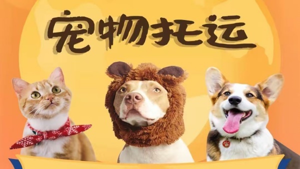 机场空运